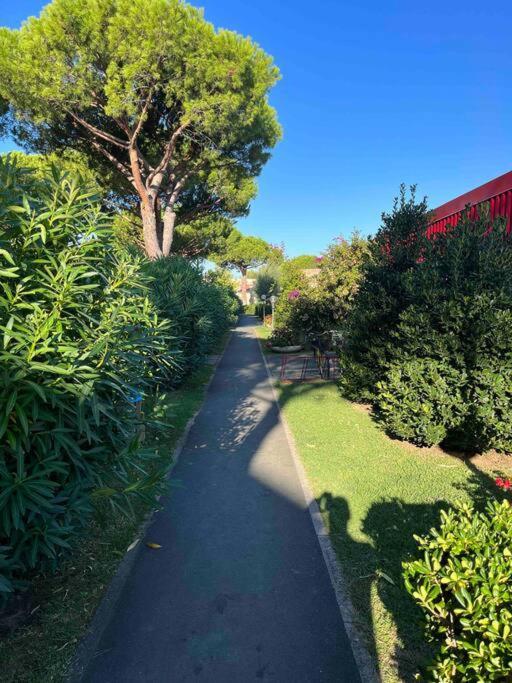 Casina Mare Bibbona Apartment Marina Di Bibbona Bagian luar foto